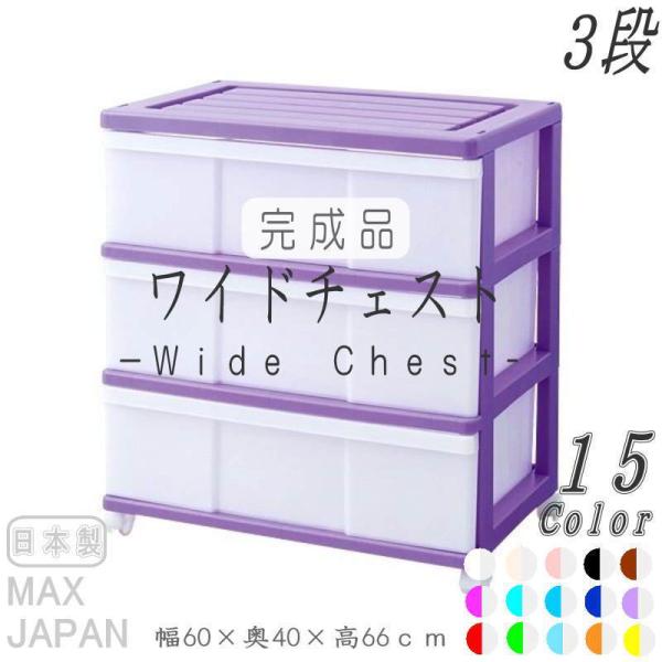 ߑP[X [P[X o vX`bN Ch `FXg 3i  oCIbg LX^[t 60cm s40cm 66cm S15F i {