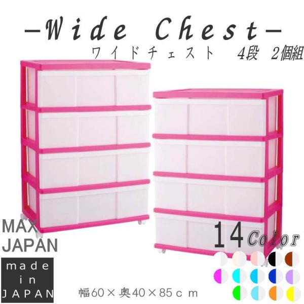 ߑP[X [P[X o vX`bN Ch `FXg 4i 2g  sN LX^[t 60cm s40cm 85cm S14F g {