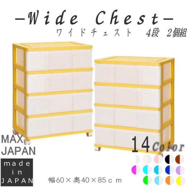 ߑP[X [P[X o vX`bN Ch `FXg 4i 2g  CG[ LX^[t 60cm s40cm 85cm S14F g {