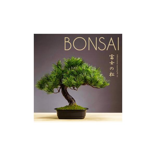 ~  AW~ xm̏ tFCNO[ CeAO[ lHϗtA 