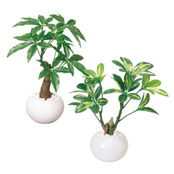 フェイクグリーン 光触媒 人工観葉植物 消臭 抗菌 卓上 ミニ おしゃれ インテリア 陶器鉢 日本製 パキラ シェフレラ