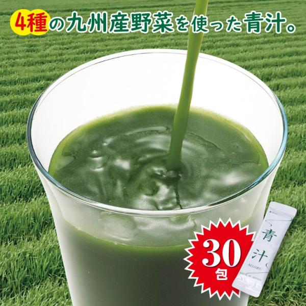 青汁 九州産 4種の野菜 30包 国産 大麦若葉 ケール 明日葉 桑の葉 スティック 健康 ダイエット 代金引換不可