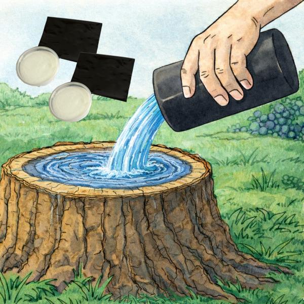 切り株除去剤 切り株処理剤 スタンプロット 2個組 2個セット 切り株 除去 処理 枯らす 木 根 薬剤 まとめ買い 日本製