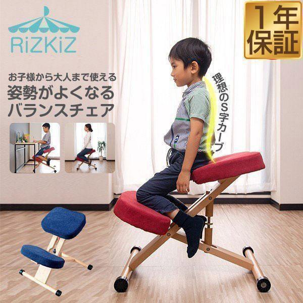 Balance chair バランスチェア 姿勢矯正 学習椅子 姿勢が良くなる - その他