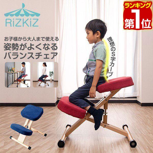 Balance chair バランスチェア 姿勢矯正 学習椅子 姿勢が良くなる - その他