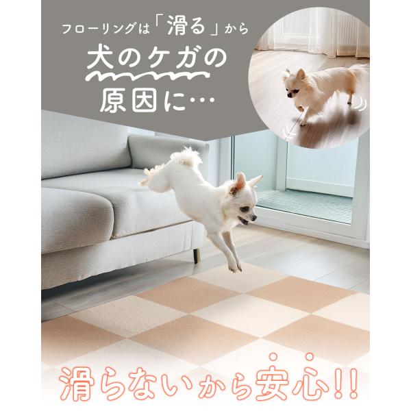 maxshare_ys-a20228_2_d_20250418100229