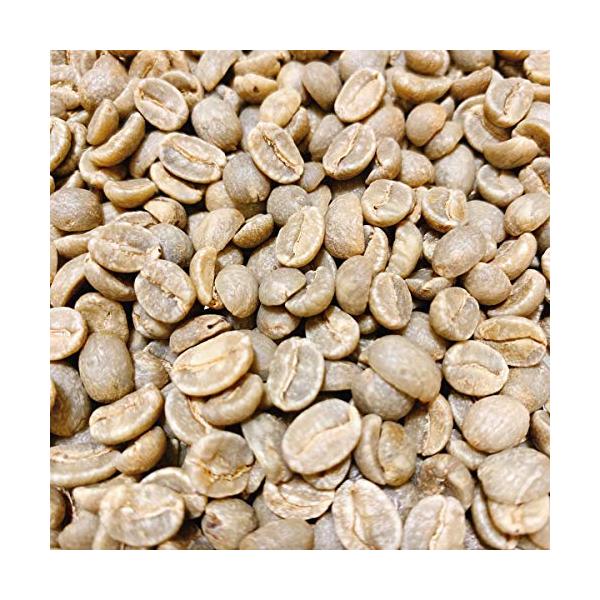 １.8Kg(1800g) ブルーマウンテン　No.1　生豆 1.8Kg(1800g) ブルーマウンテン No.1 生豆