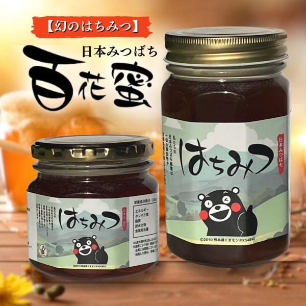 日本みつばち 国産はちみつ 純粋はちみつ 非加熱 蜂蜜 無添加 無