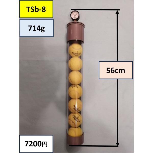 TSB-8（透明再生器ボール８個同時再生可能）★透明・圧力計付・２気圧可は世界初商品 TSb−8ボール8個用○透明塩ビ製再生器○「透明再生器」「圧力計付