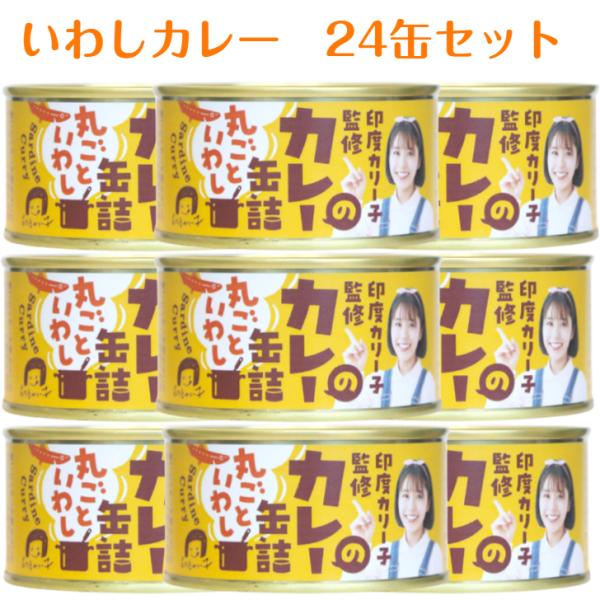 印度カリー子監修のカレー缶詰（170ｇ）24缶セット 木の屋石巻水産 いわしカレー いわしカレー缶詰 いわし イワシ 鰯 缶詰 缶つま おつまみ 酒の肴 キャンプ