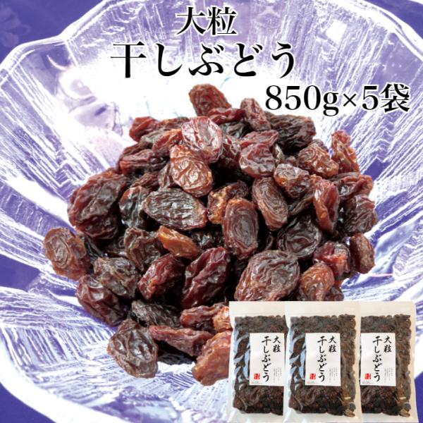 大粒 干しぶどう 850g 5袋セット 干し葡萄 干しブドウ レーズン