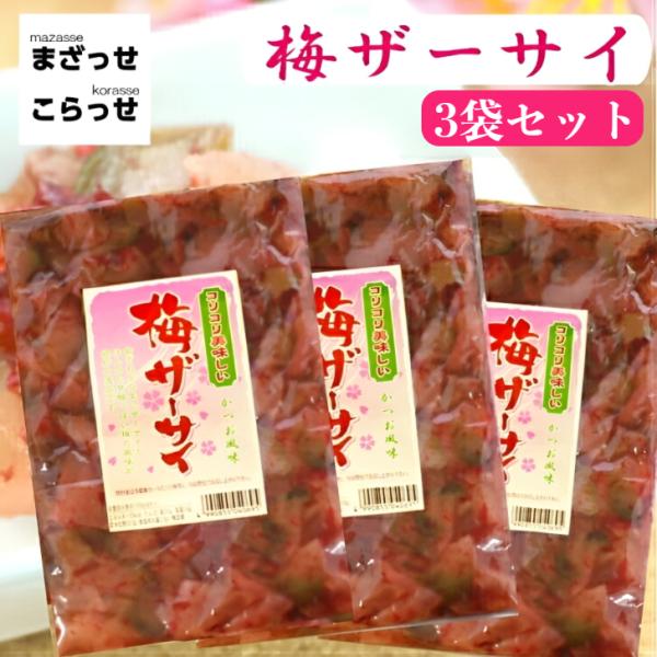 梅ザーサイ 3袋セット 梅 ザーサイ うめザーサイ かつお風味 梅搾菜 搾菜 梅干し ご飯のお供 惣菜 漬物 おつまみ お土産