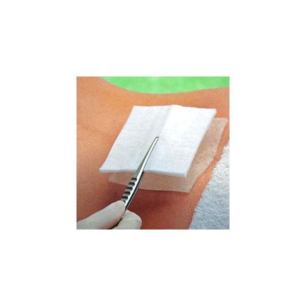 APA@f}GCh@1@5cm×5cm@100 #11981@A