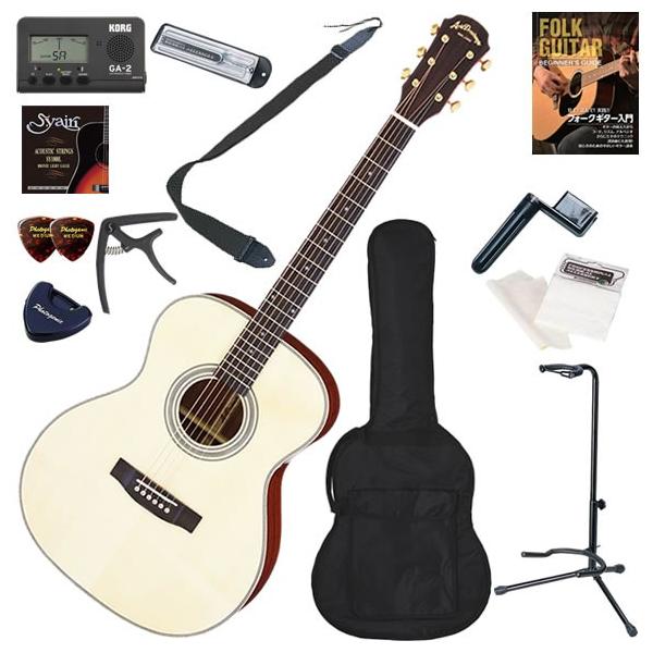 ARIA（アリア） アコースティックギター 初心者 入門セット アコギ AF