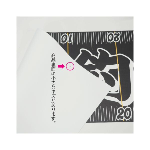 �y���i����/�󂠂�z�^�[�|�����u���ތ��v �ނ�p���W���[ 50cm�^�C�v �u���b�N �t�B�b�V���O���W���[ ���p ���i�摜3