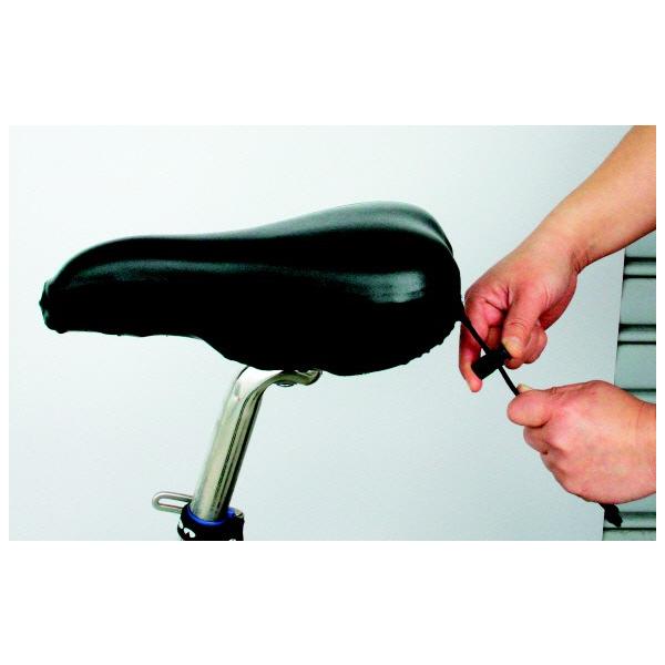 l`qtsn@ThJo[ifdkjX|[cԗp ThJo[/]/Q