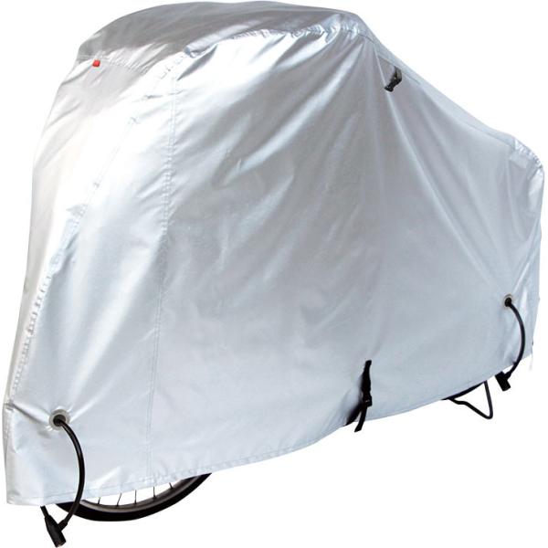 DXTCNJo[i300Dj@STCY ]/TCNJo[