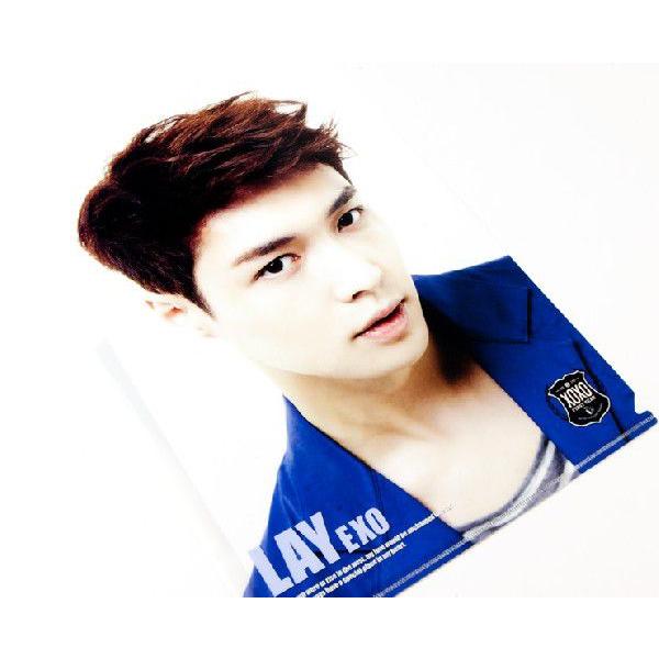Exo レイ グラフィック クリアファイル サイズ Cfa4 Exo Ray Kselect 通販 Yahoo ショッピング
