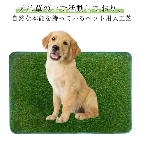 XS 46×32  S 46×36  M 46×58  L 46×71     ※サイズ表の実寸法は商品によって1-3cm程度の誤差がある場合がございます。