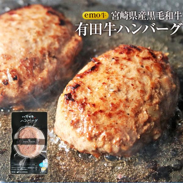 お歳暮 御歳暮 プレゼント ギフト 贈り物 EMO牛 有田牛 宮崎県産黒毛和牛  ハンバーグ 100ｇ×10 冷凍 ホルモン剤不使用 抗生物質不使用 遺伝子組換え飼料不使用