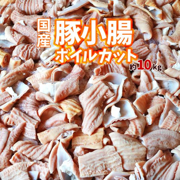 国産 豚 小腸(ショウチョウ/白モツ/白もつ/ホルモン/ほるもん/豚もつ) カット済み ボイル下茹で済み 約10kg 業務用 生 冷凍 済 送料無料