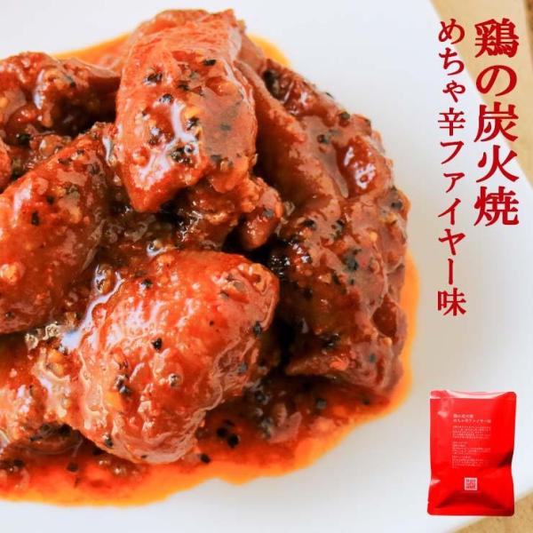 宮崎 鶏の炭火焼 めちゃ辛ファイヤー味 非常食 100g×6袋 常温保存 防災備蓄 レトルト 激辛 辛党向け