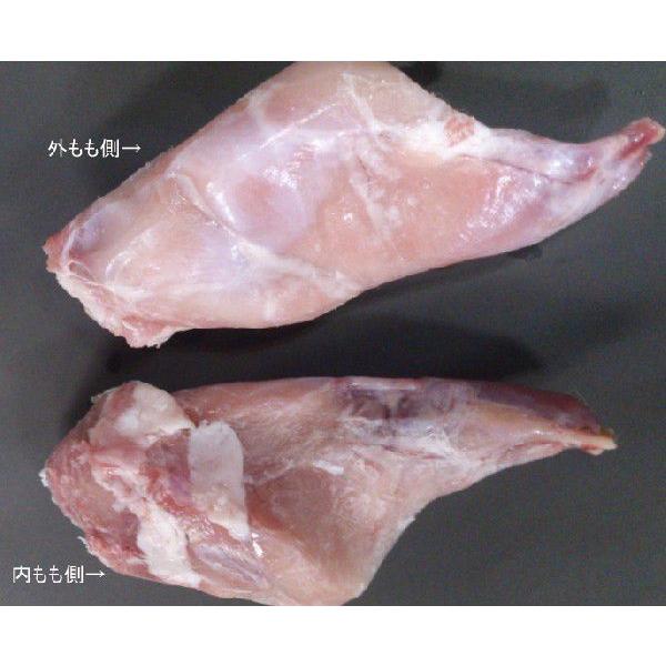 ijpt450i1{170`2502{i1Hjj/LCXhp@rbg