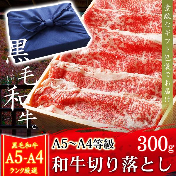 Ε Ε Mtg v[g   a A4A5 јa ؂藎Ƃ Ă 300g j a C~Mtg