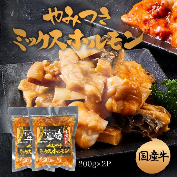 やみつきホルモンミックス　400g(200g×2P)