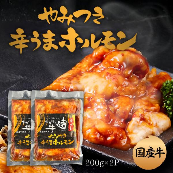 やみつき辛旨ホルモン　400g(200g×2P)