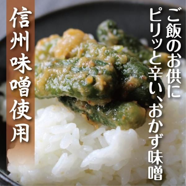 y yYzyXV[Yz݂тイ 130 т̂Ƃ MB݂ MB萁 X Е X ݂ MBX