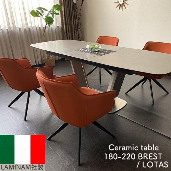 Z~bN _CjO e[uZbg 180cm 220cm 4l| Z~bNe[u rO[ L ]֎q uXg/[^XJݒuE