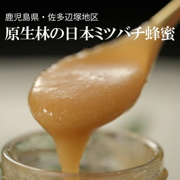 はちみつ 日本ミツバチ 蜂蜜 国産 非加熱 生はちみつ 鹿児島 120g 450g