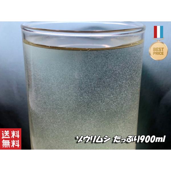 メダカの稚魚等に最適な餌になります。説明書が付属しますので、初心者の方でも簡単に培養、及び魚に与える事が出来ます。800mlですので沢山の針子をお育ての方にお勧めです。培養餌が10錠付きますので培養しながら沢山与えてあげてください。発送はネ...