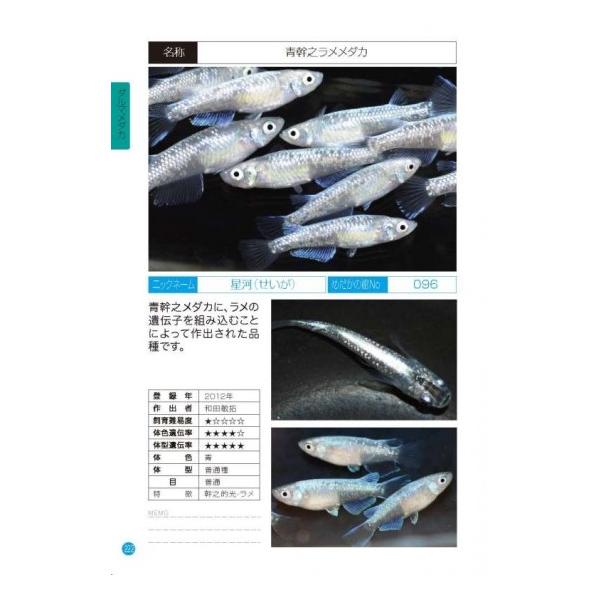 メダカ大図鑑 めだかの館 メダカ 書籍 送料無料 Buyee 日本代购平台 产品购物网站大全 Buyee一站式代购 Bot Online