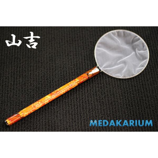 medakarium_yamayoshi-tamo0181