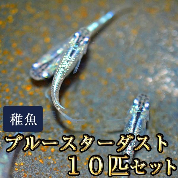 【特徴】写真は親めだかです。ラメ状の光が入るめだかです。小さいサイズの未選別の個体になりますので、ラメの多い少ないは個体差があります。ラメが出ていない個体等が含まれる場合もございます。【サイズ】生後約1.5ヶ月程度（約１０〜１５ｍｍ程度）　...