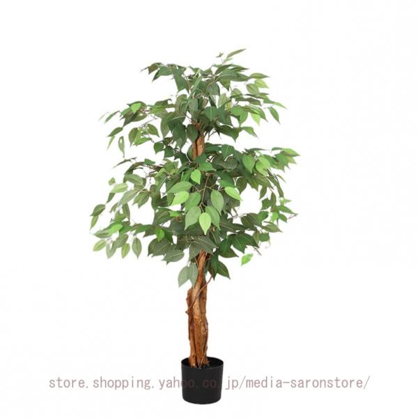 [Release date: November 4, 2025]■素材：本体・葉=PE■ フォルムを自由に調整できる!■ ペットや小さなお子さまがいても安心!■ 長期不在でもそのまま飾れる!■ 植物アレルギーの方にも配慮できる!■ フェイク...