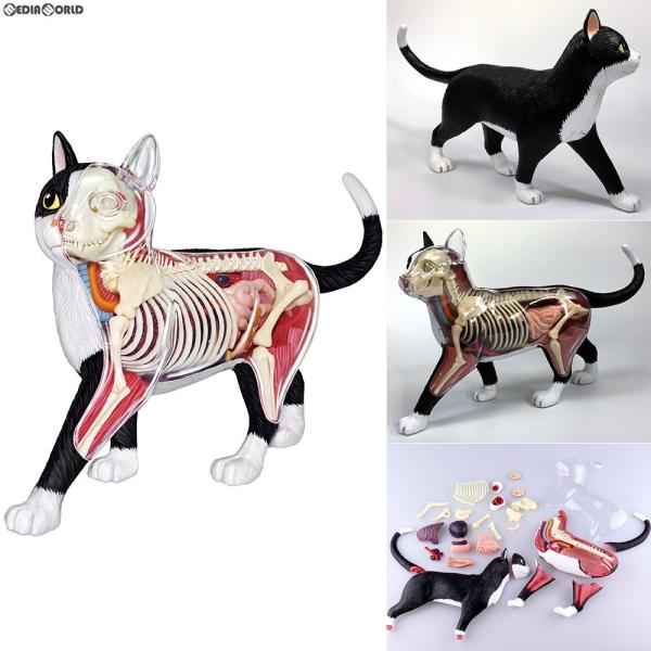 新品 未開封 青島文化教材社 4D VISION 動物解剖立体パズル 猫 青島文化教材社 『新品即納』{FIG} (再販) 立体パズル No.29 4D VISION