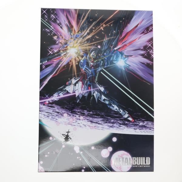 機動戦士ガンダム　デスティニーガンダム フルパッケージ 魂ウェブ METAL BUILD デスティニーガンダム（フルパッケージ） [METAL BUILD