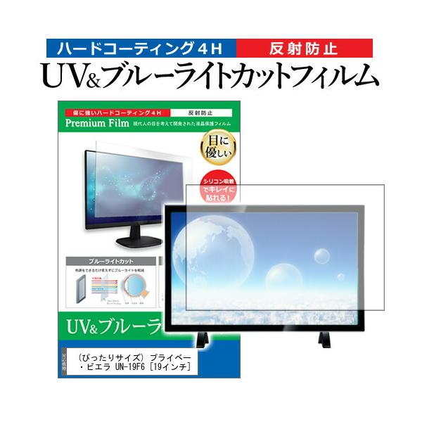 (�҂�����T�C�Y) �v���C�x�[�g�E�r�G�� UN-19F6 (19�C���`) �@��Ŏg���� �u���[���C�g�J�b�g ���˖h�~ �w��h�~ �t��TV �ی�t�B���� �݊��i