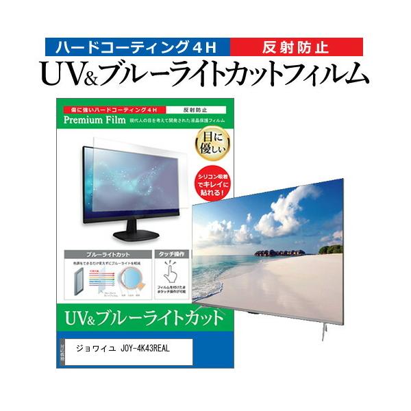 JOY-4K43REAL」の人気商品一覧 | 安い商品を通販サイトから探す - 価格.com
