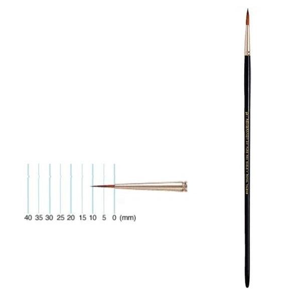 REMBRANDT@ug@ʉM241@sAbhZ[u@Eh@T909-241-02(2)@s/s