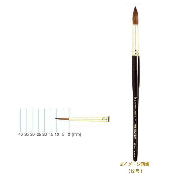 REMBRANDT@ug@ʉM100@sARXL[@Eh(x[|Cg)@T909-100-01(1)@s/s