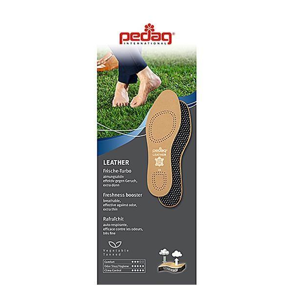 Pedag(y_bN) U[ Art.110 41TCY@s/s