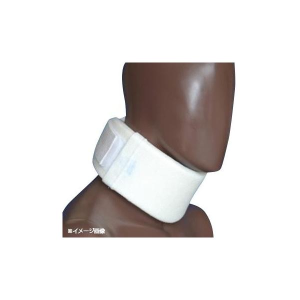 ���{�q�� �򕔌Œ�уG�[�X�J���[�\�t�g2 M 32cm�`38cm 1�� 257�@������s��/�����s��