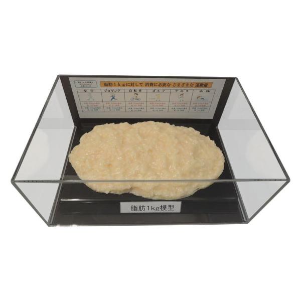 b͌^tBMAP[X 1kg IP-978@s/s