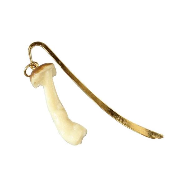 {El HiTv  ߂ IP-664@s/s