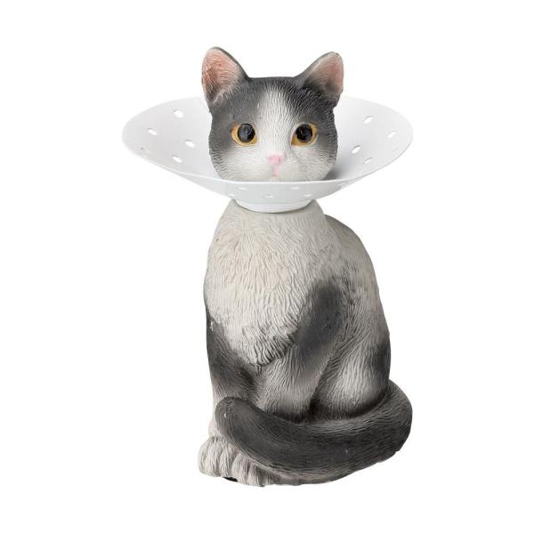 ZgNtg sAXz_[ n` SR-5605@s/s