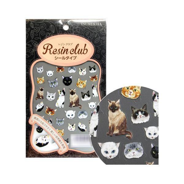 WNu@WV[@L@(ʈ)@RC-CAT-101@s/s